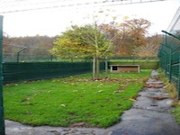 Pension canine - Photo infrastructure