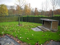 Pension canine - Photo infrastructure