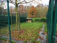 Pension canine - Photo infrastructure