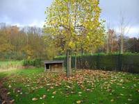 Pension canine - Photo infrastructure