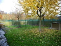 Pension canine - Photo infrastructure