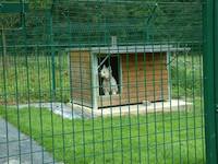 Pension canine - Zakouski