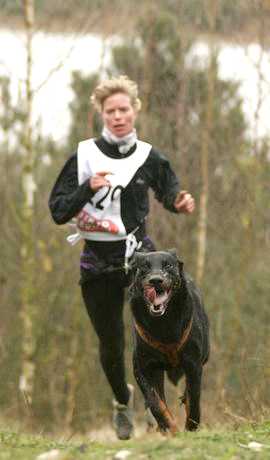 Page d&eacute;di&eacute;e &agrave; nos Champions de Canicross, Virgile et Milly 