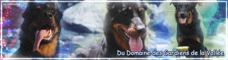 Le site d'Artzain et Julien