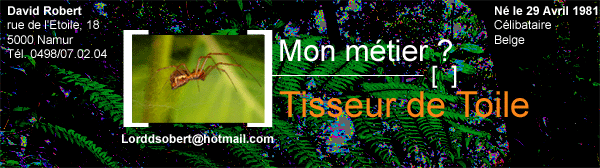 Site perso de David Robert, créateur de ce site
