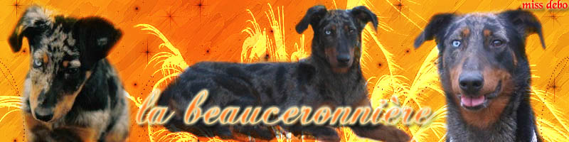Les Beaucerons de Karine, Lolo et Débo