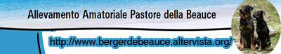 L'éleveur de Heidi, en Italie