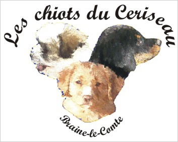 Les chiots du Ceriseau - Braine-le-Comte