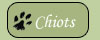 Chiots n&eacute;s au Fond des Camps