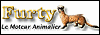 Furty